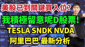 美股已到關鍵買入位?我積極留意呢D股票!  TESLA SNDK NVDA阿里巴巴 最新分析  #TESLA #SNDK #NVDA#阿里巴巴 #6160