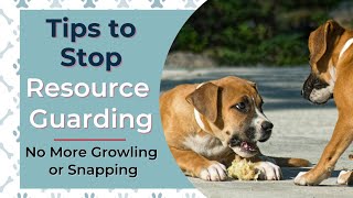 Famous My Puppy Is Growling And Snapping At Me - Tips To Stop Resource Guarding Profile