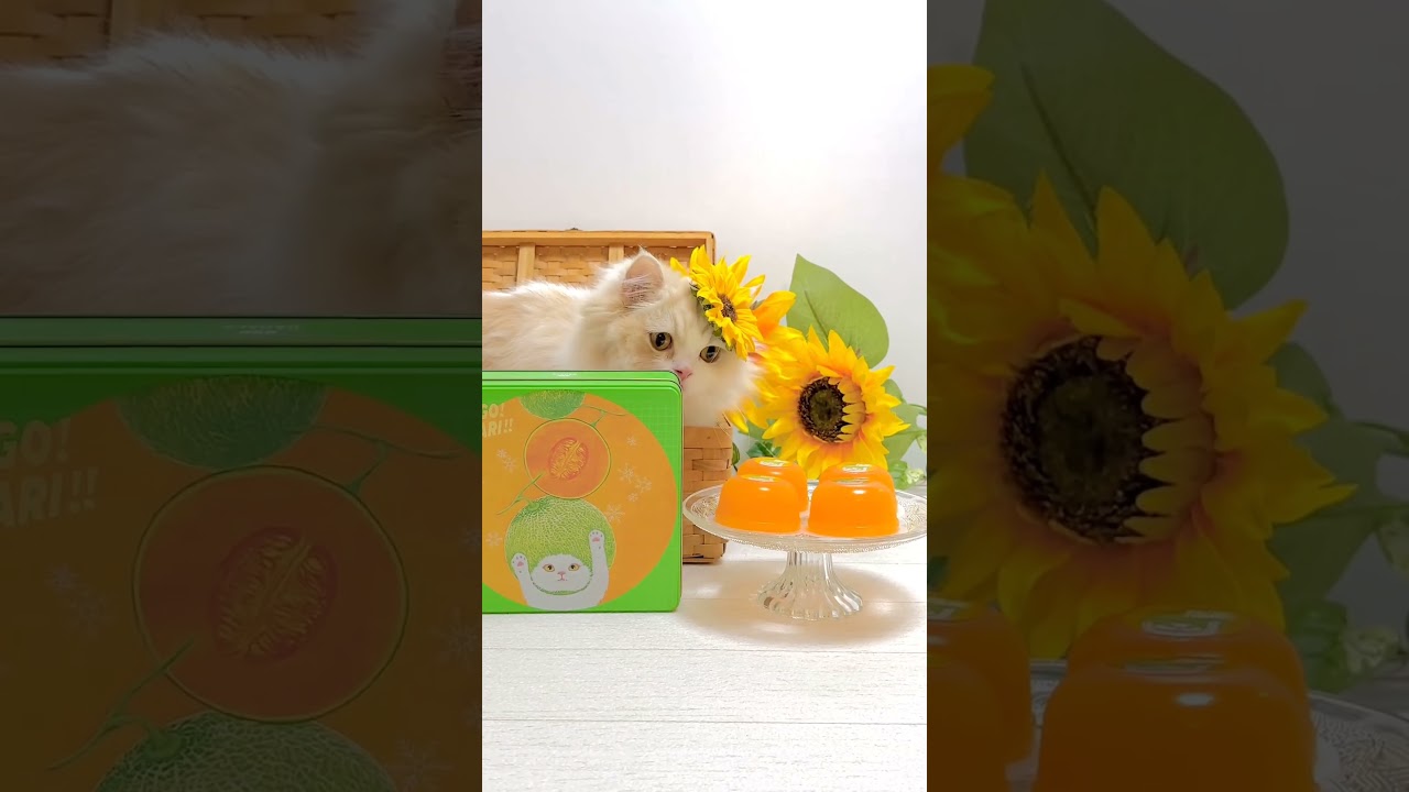 Little cutie looking so dreamy 😍  