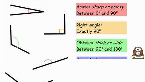 PGSMaths VLOG #07: Describing Angles