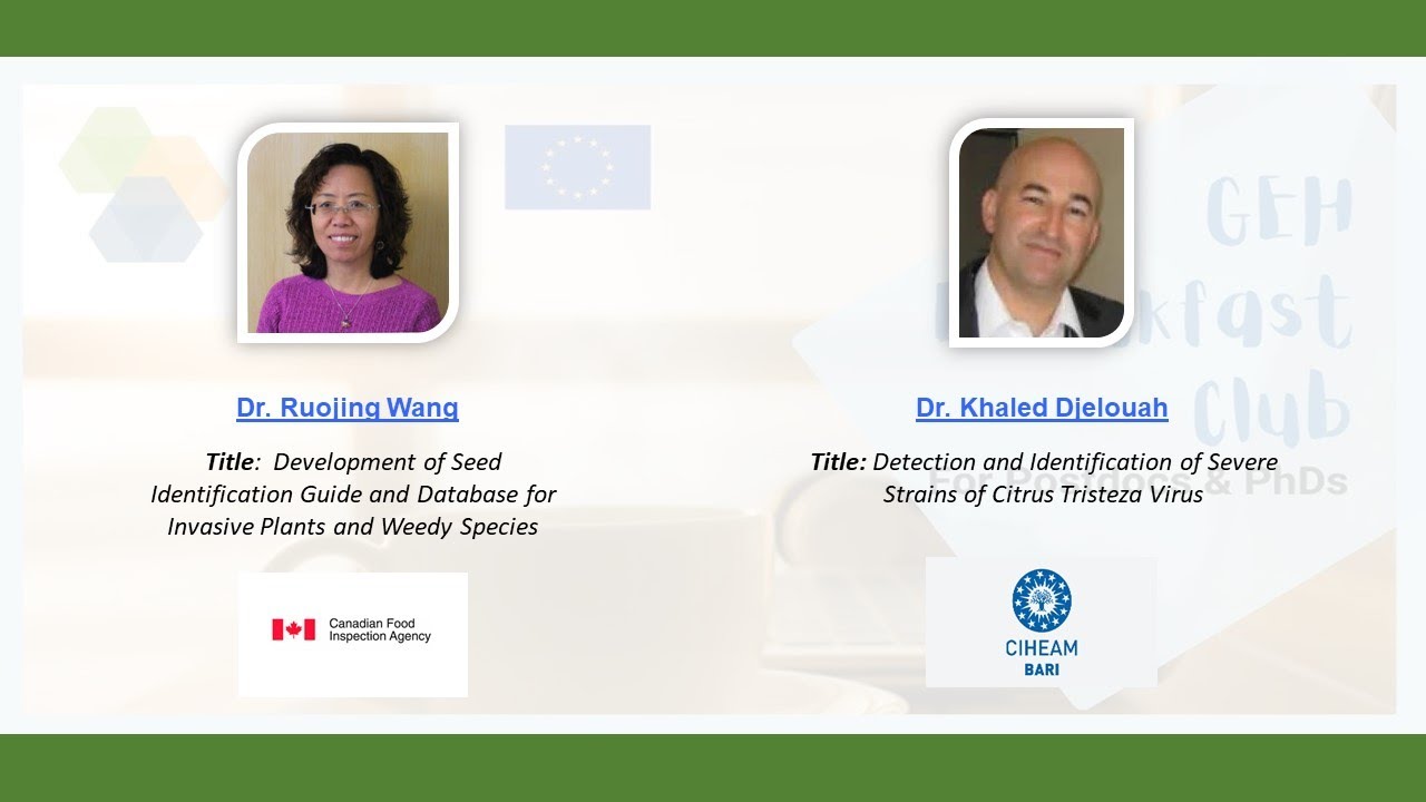 🙋 Integrating Tools for Plant Health: Invasive Seed and Viral Strain Detection 🎯