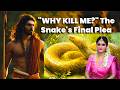 🔴 The Sage, The Snake, and The Secret: A Lesson in Mercy l Epic Story 12