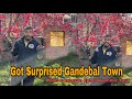 Got surprised by visiting ganderbal town ep13  wanitalks