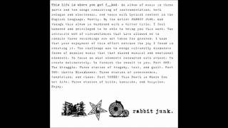 Watch Rabbit Junk The Struggle video