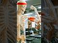 💀 30 Days of Skeleton Gym Training 🏋️⚡