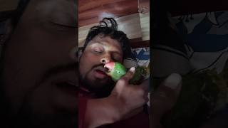 Papa Ka Ladla || Mammi ka bapema Sikayat kar raha hai 😂😂😂🦜🦜 #shorts #birds #parrots #pets