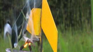 Model Rocket Fail - Burns Up On The Launch Pad
