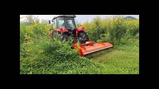 Kubota Mulcher Demo