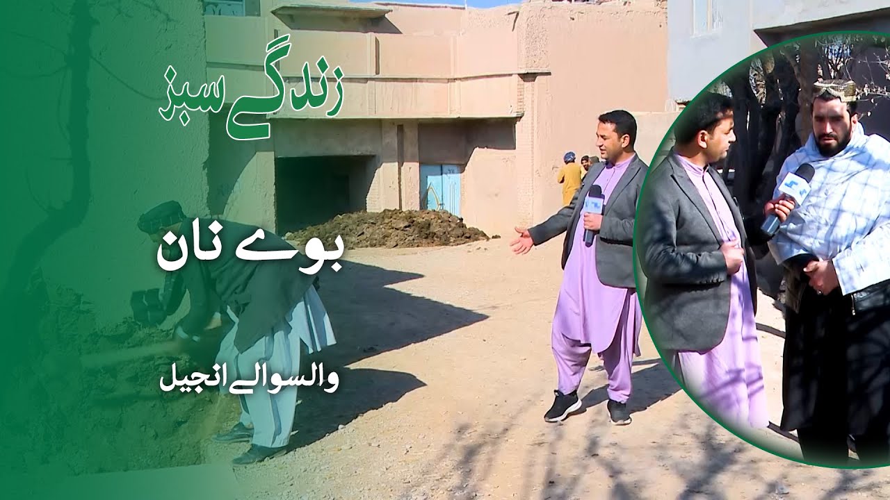 زندگی در قریه بوی نان، ولسوالی انجیل - برنامه زندگی سبز