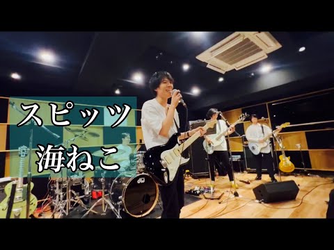 Spitz/海ねこ（しろいぬcover）