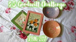 $5 Goodwill Challenge | Spring 2017