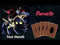Custom test hands parasite weevils bugs