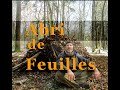 Abri primitif de survie en feuilles, abri naturel en forêt