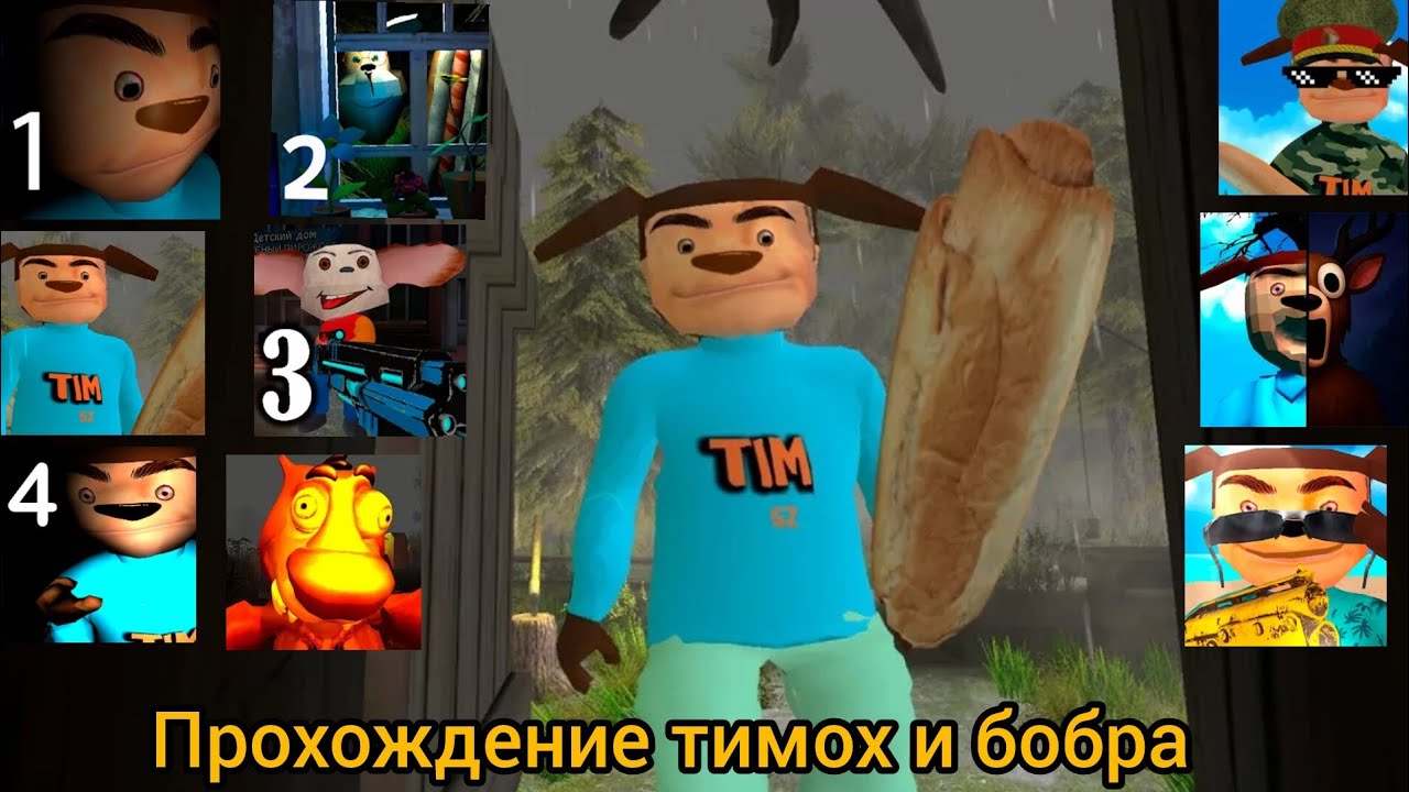 Полное прохождение всех тимох и бобра