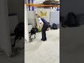 Checking in with our M litter canines