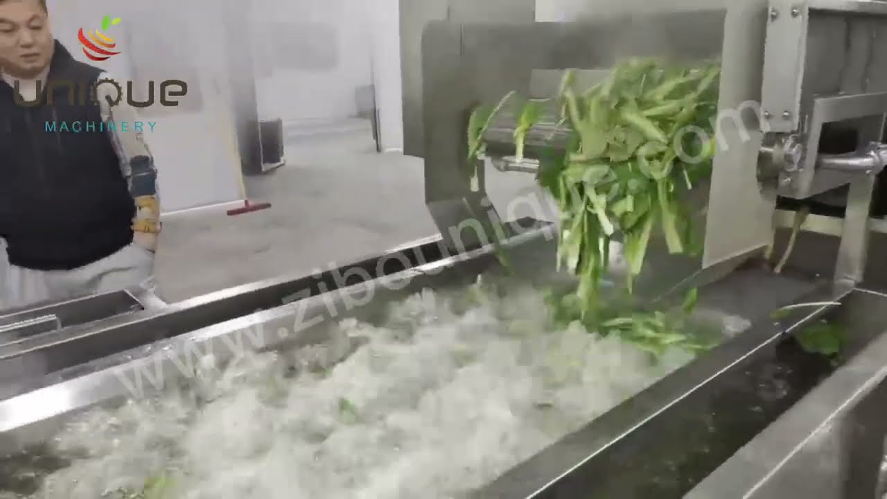 Vegetable washing blanching and cooling production line
