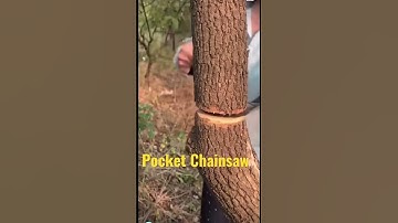 Crazy pocket chainsaw! #shortvideo #shorts #crazy #tool #chainsaw #wow
