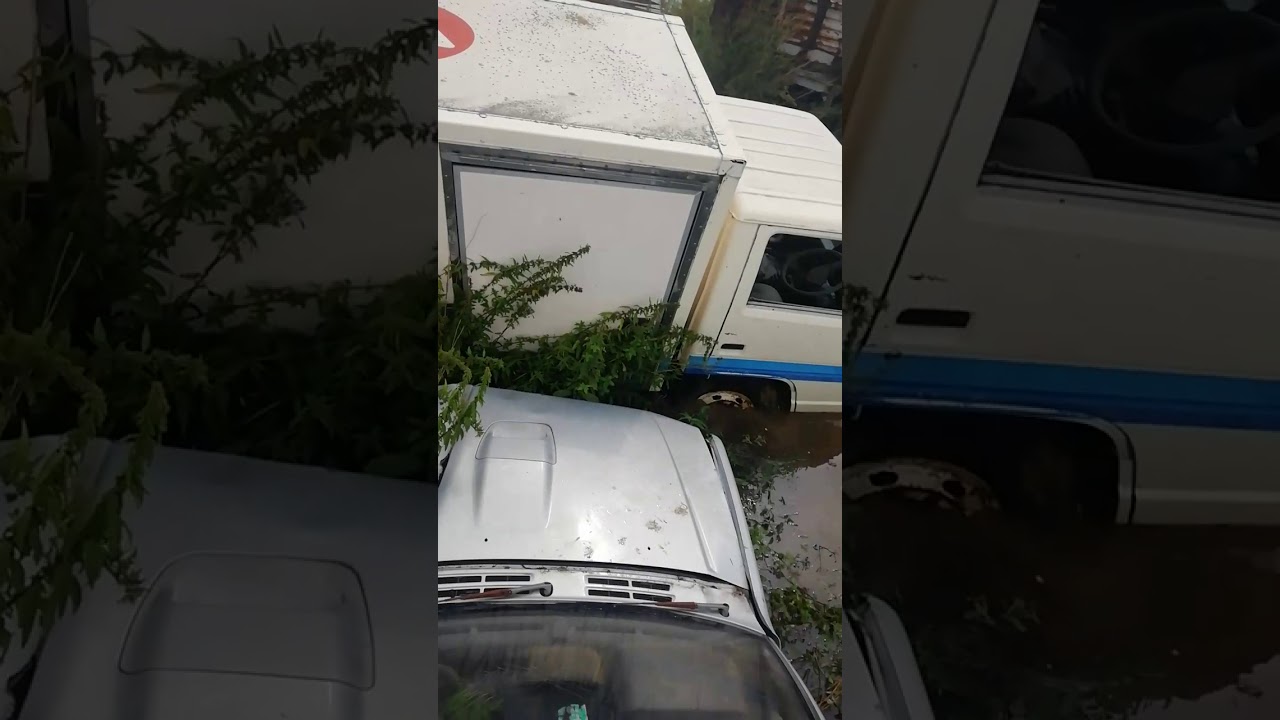 Выкуплю ваш авто
