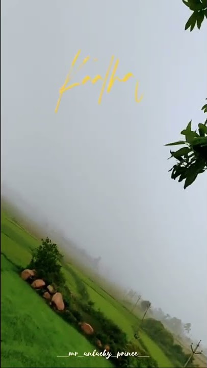 Mazhai Megam…🥰 Rain Mode.....
