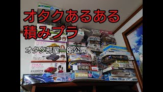 積みプラするオタクの部屋