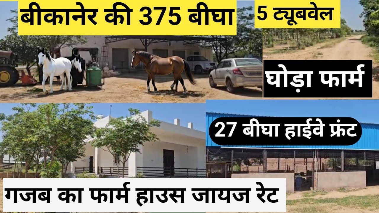बीकानेर की 375 बीघा जमीन बिकाऊ 5 ट्यूबवेल 27 बीघा रोड फ्रंट घोड़ा फार्म गजब का फार्म हाउस जायज रेट।