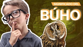 El Significado del Búho 🦉 | ¿Qué simboliza este mágico animal?