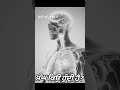 ਕੀ ਤੁਸੀਂ ਜਾਣਦੇ ਹੋ? ਖੰਘ ਕਿਉੰ ਹੁੰਦੀ ਹੈ ?| Science in Punjabi | Ki Tussi Jande Ho