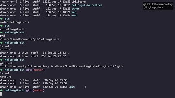 GIT2 - CLI 버전관리 - 3. 버전관리의 시작