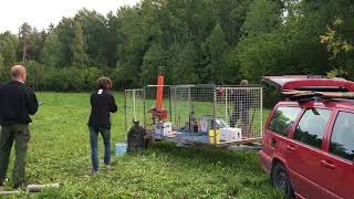 IMG 0330