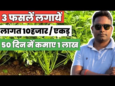 वीडियो: छोटा स्थान बागवानी - इस गिरावट में छोटी जगहों में फसल उगाना