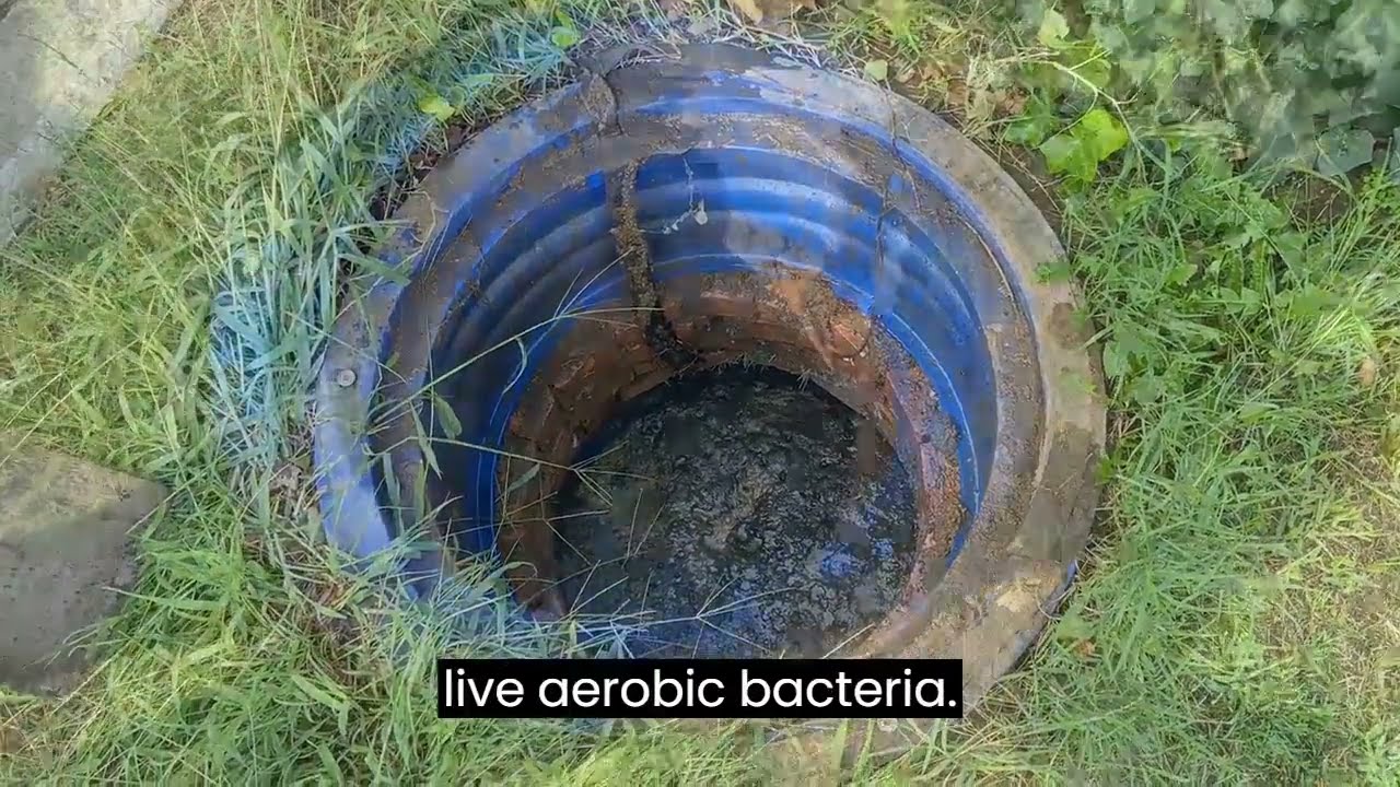 Septifix- Bacteria For Septic Tank – Easy to Use, Powerful Results