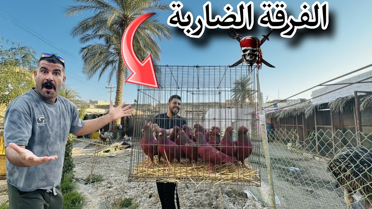 واخيراً وصول الفرقه الضاربة 😱