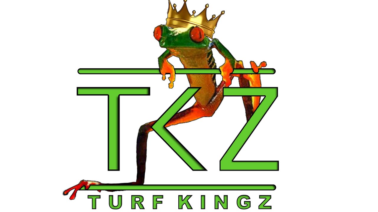 Turf Kingz Gig Harbor Terrific Five Star Review