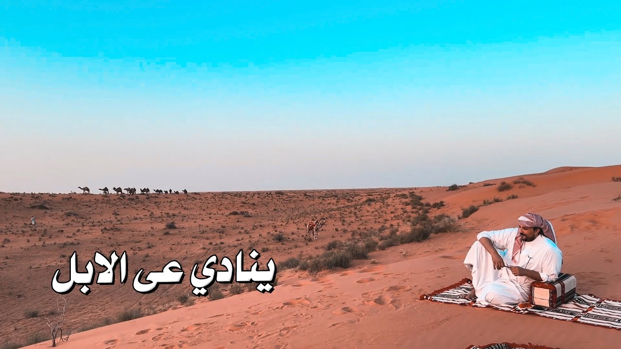 الامير ناصر بن نواف ينادي الابل وتجيه 🐪❤️