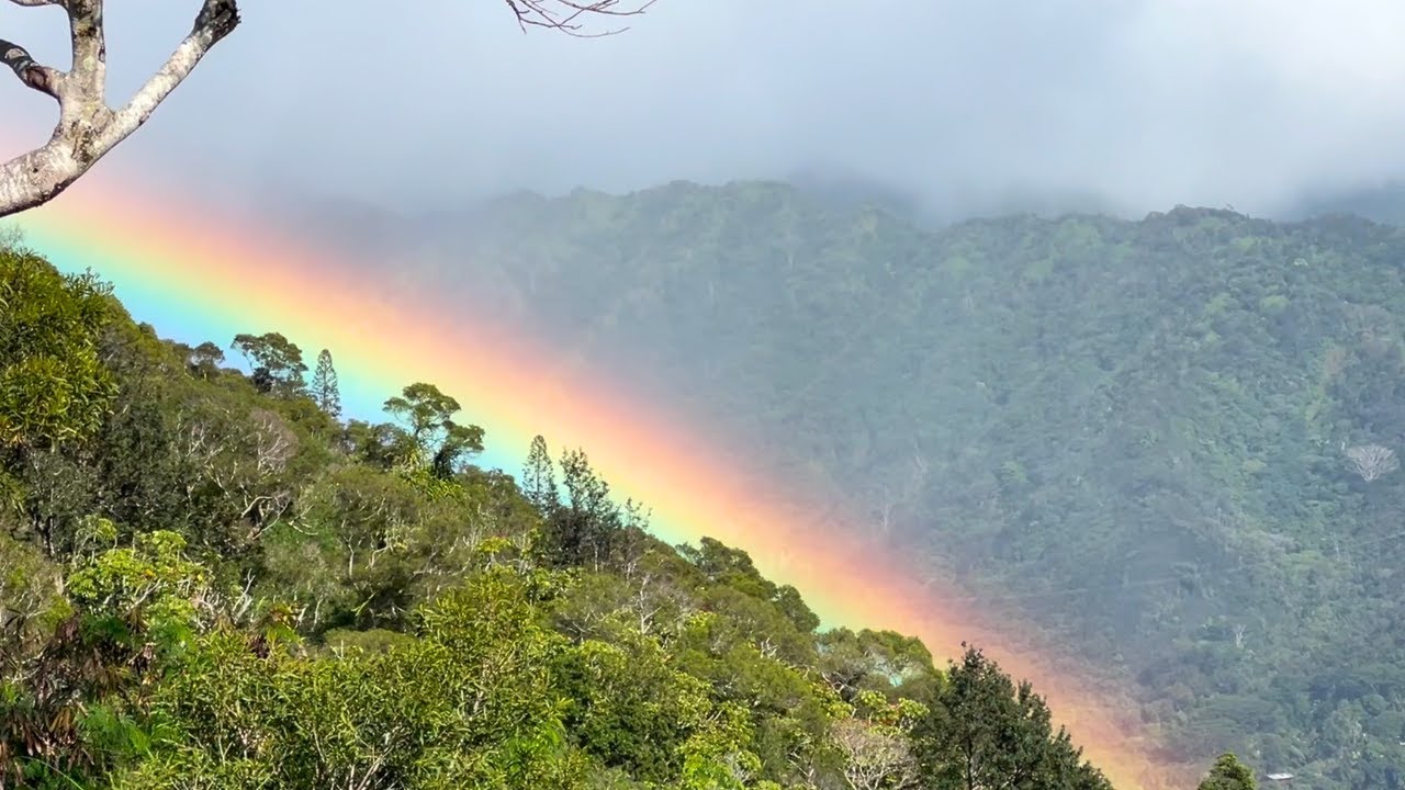 Honolulu in December | A Quiet Look at a Tropical Christmas (No Talking)