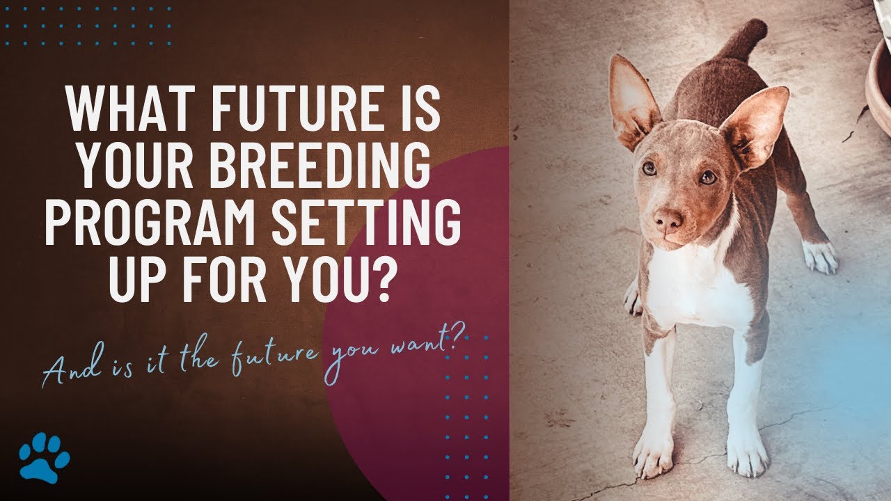 What is Breeding Rights for Dogs: Essential Guide