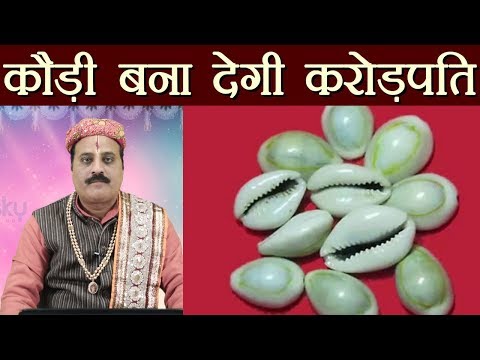 वीडियो: ड्रेड पर कौड़ी के गोले कैसे लगाएं: १० कदम (चित्रों के साथ)