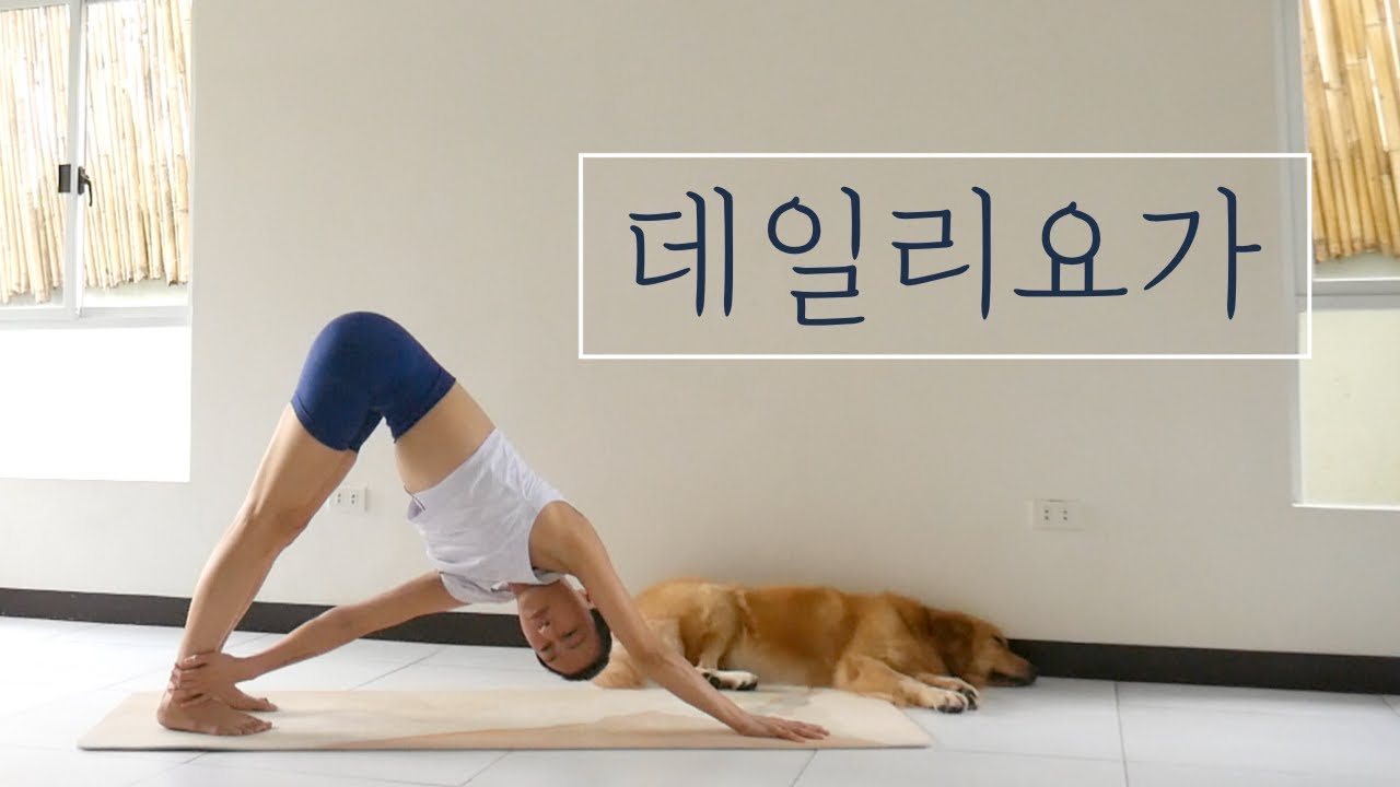 [EVA YOGA]데일리 요가