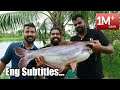 Biggest Vala Ever | Eng Sub | Catching And Full Fish Cooking | 15 Kg  വാള പിടിച്ച് മൊത്തം കറിവെച്ചു