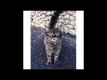 この街で(新井満) - Yoshika(Cover)