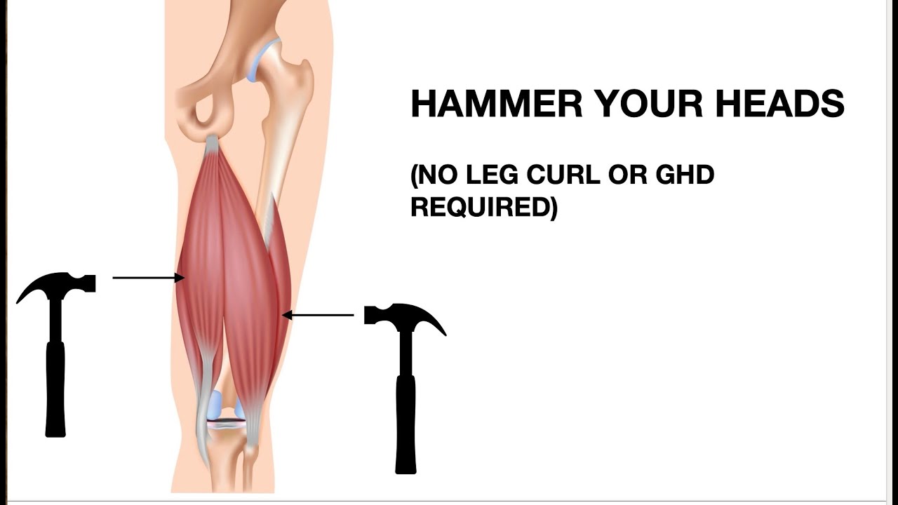 Hamstrings Bridge (Inner and Outer Hamstrings Exercise) - YouTube