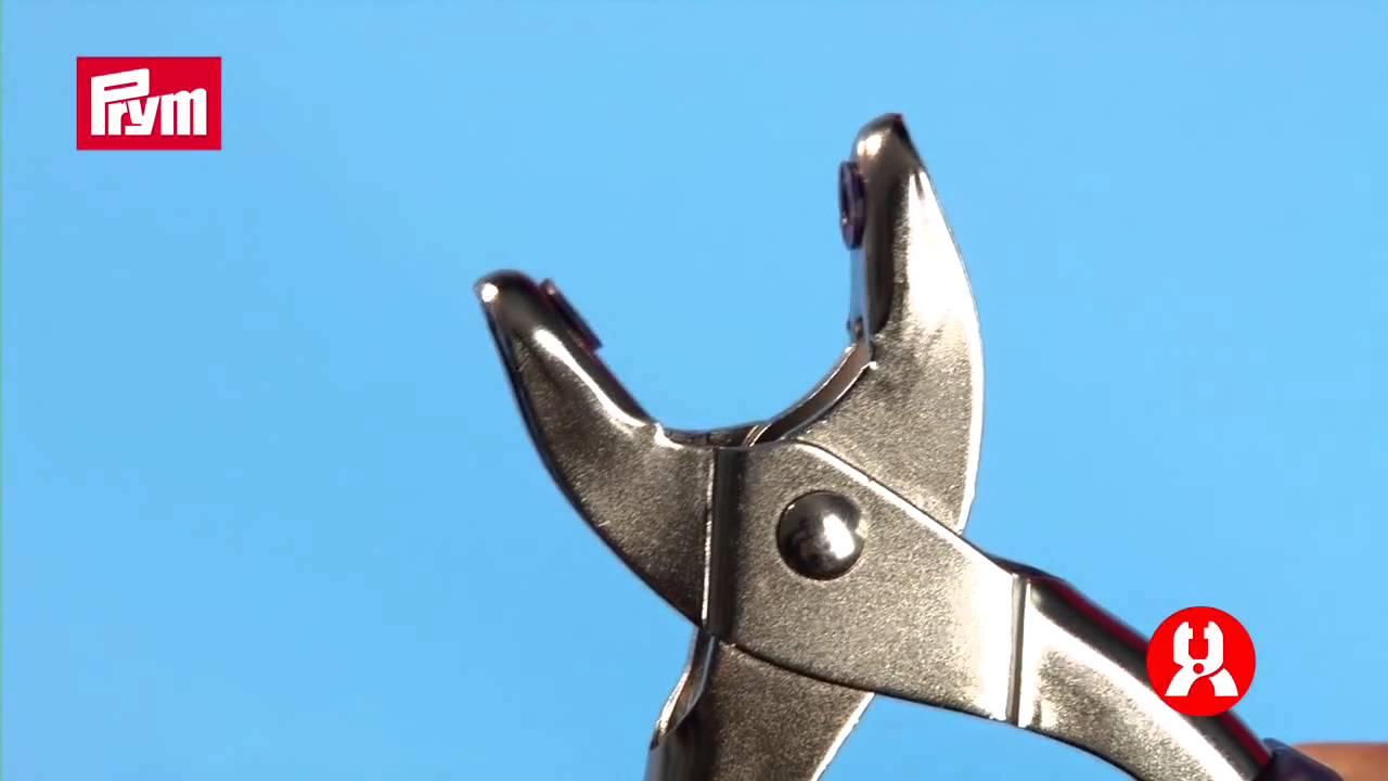 oeillets ferrures résoudre œillet gürtelöse avec outil 4mm argent 542400 Prym 50 st oeillets ferrures résoudre œillet gürtelöse avec outil 4mm argent 542400 Prym 50 st