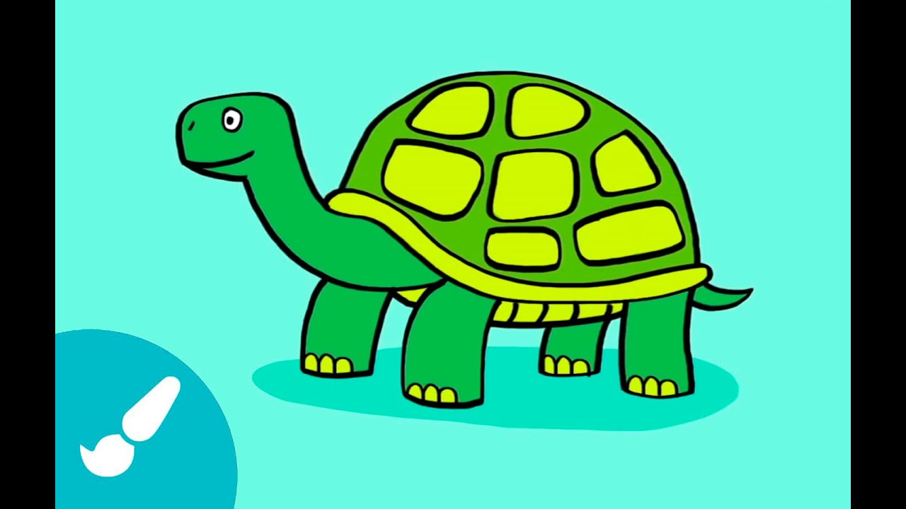 Cómo dibujar una tortuga I How to draw a turtle - thptnganamst.edu.vn