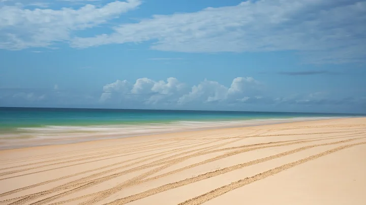 Fraser Island Vlog | Aug, 2022