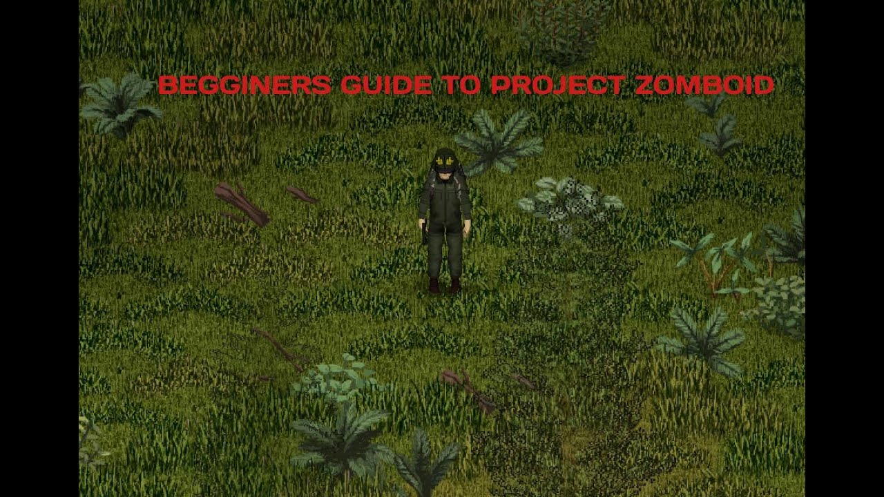 Begginer´s guide to Project Zomboid - YouTube