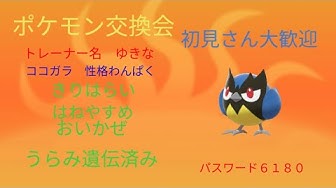 ポケモン配布会 Youtube ポケモン配布会 Youtube