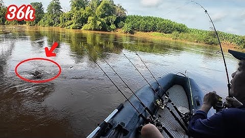 36h Câu Cá | Cấm Trại | Nấu Ăn Trong Rừng | 36h Fishing | Camping | Cooking in the Jungle P40