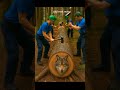 Wolf Rescued From Trapped Inside A Log#Short#Funny#Animals