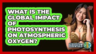 What Is The Global Impact Of Photosynthesis On Atmospheric Oxygen? - Ecosystem Essentials