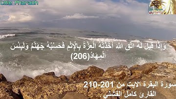 سورة البقرة  الايات من 201- 210 القارئ كامل الفشني
